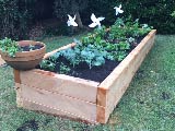 Established garden bed