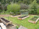Established garden beds