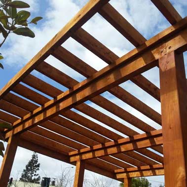 Macrocarpa beams