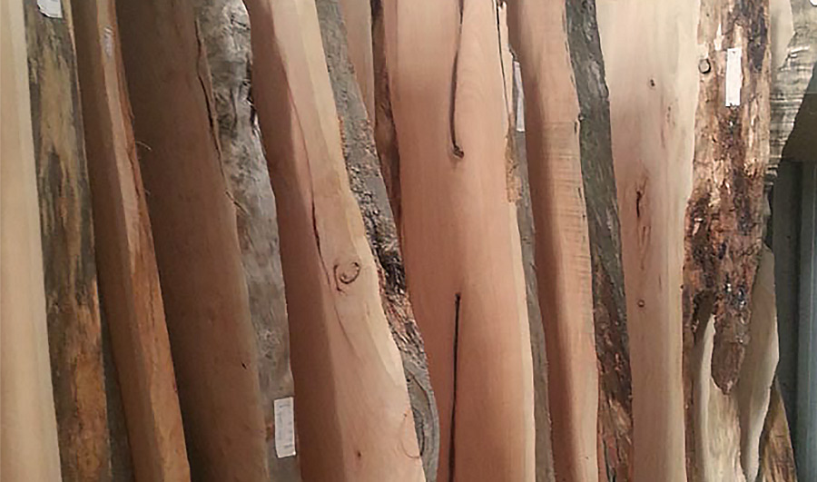 Macrocarpa slabs