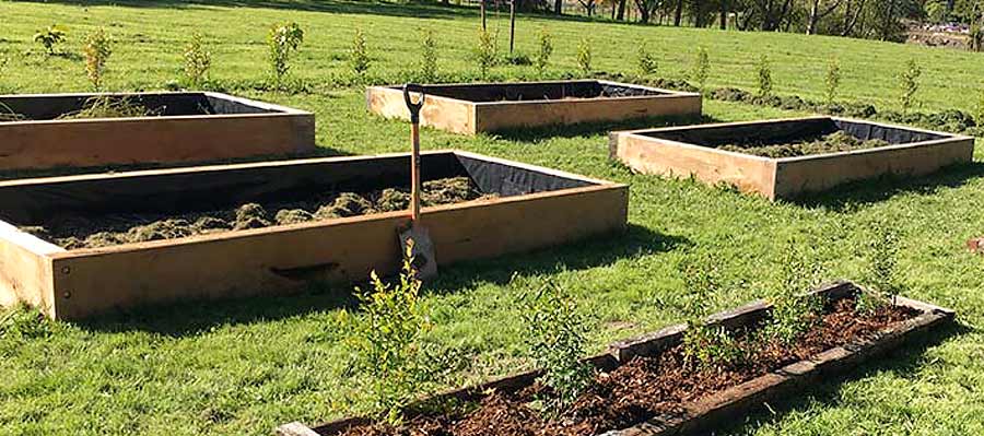 Raised Garden Beds