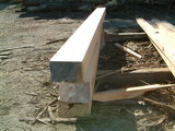 300x200 Macrocarpa Beam