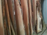 Macrocarpa Slabs