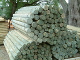 Treated Posts Piles & Poles