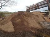 Screened Mulch