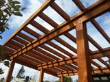 Macrocarpa beams